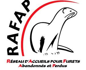 Rejoingnez nous